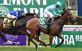 Stars of the Breeders’ Cup: get ready to hail miracle filly Lady Eli