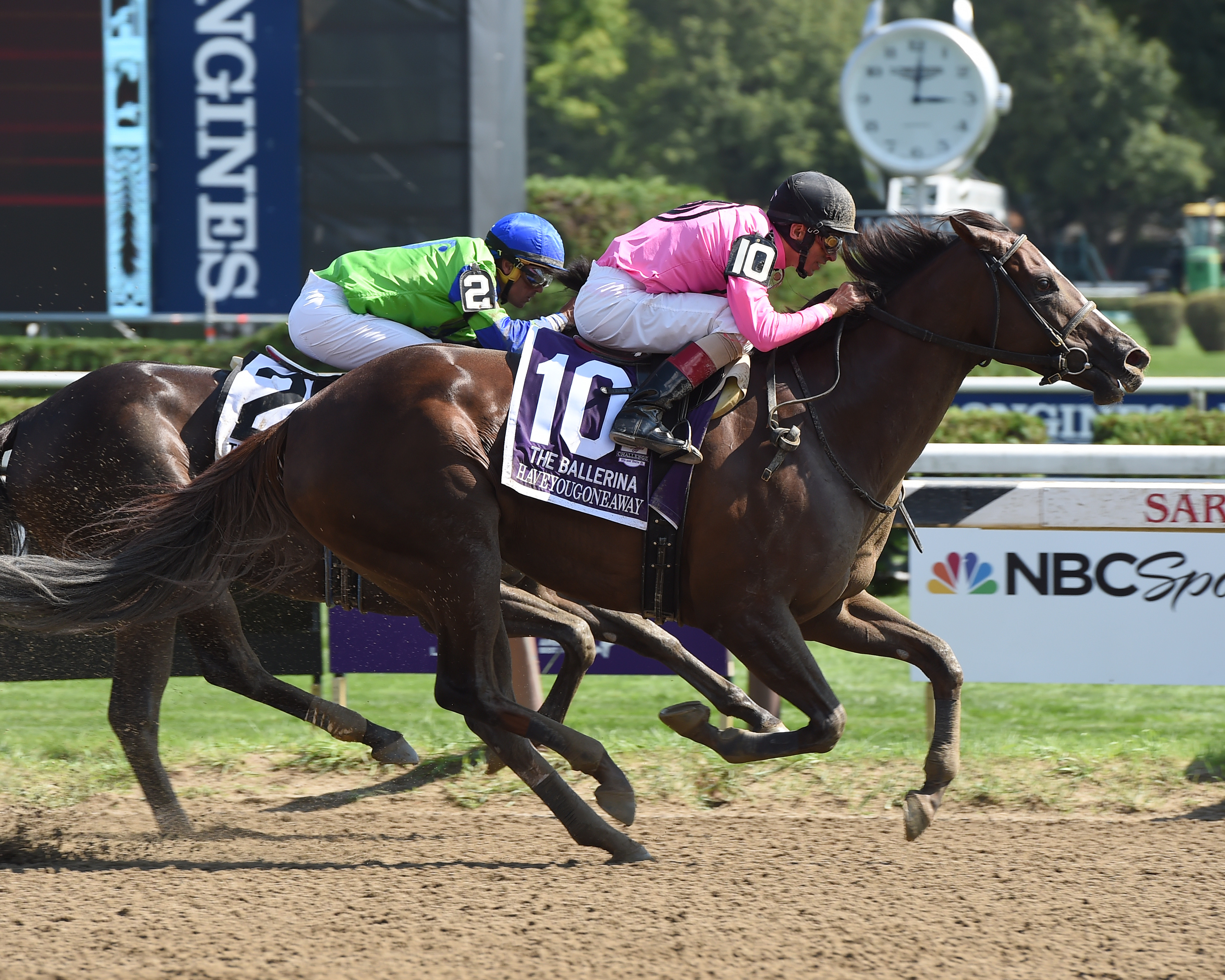 Haveyougoneaway wins the Ballerina at Saratoga. She now heads to Santa Anita on November 5 in the Breeders’ Cup Filly & Mare Sprint. Photo: NYRA.com