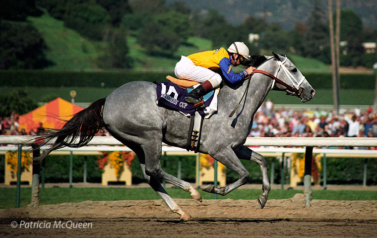 Secretariat’s only Breeders’ Cup winner: Lady’s Secret storms home in the 1986 Distaff at Santa Anita. Photo: Patricia McQueen