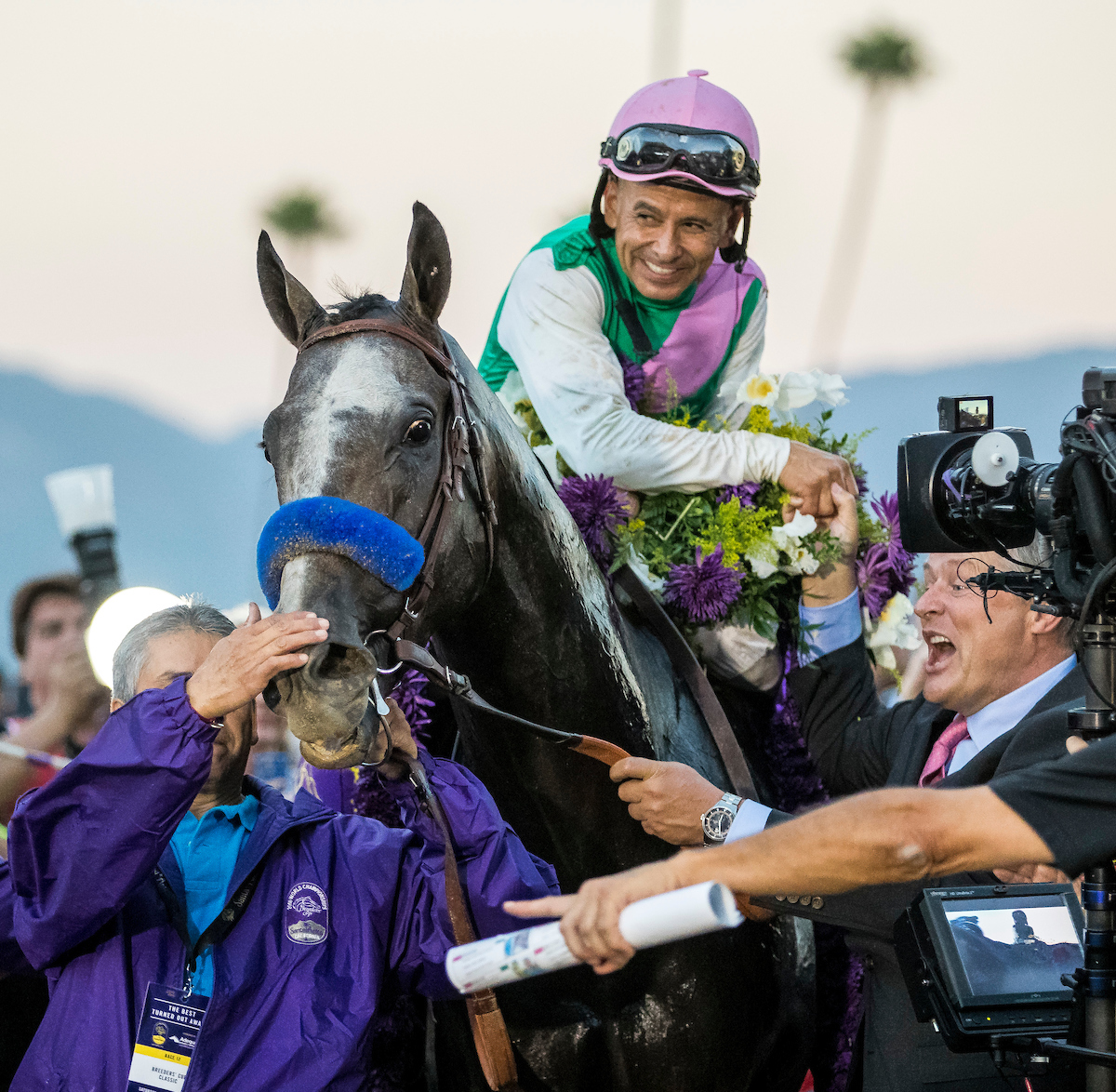 A moment to treasure: Mike Smith and Arrogate after the race. Photo: Alex Evers/Eclipse Sportswire/Breeders’ Cup