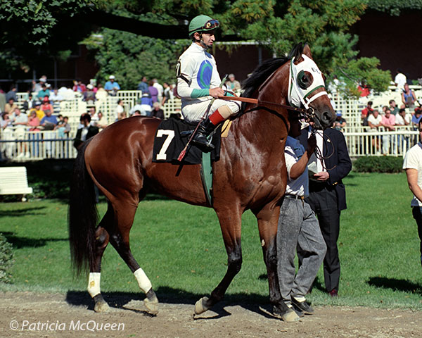 Innkeeper at Belmont Park on October 7, 1990, when he finished fourth in a maiden race. Photo: Patricia McQueen