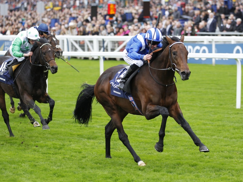 Muhaarar, a son of Oasis Dream and one of the fastest turf runners of recent seasons, wins the Qipco British Champions Sprint at Ascot in 2015. Photo: Steve Davies/Racingfotos.com