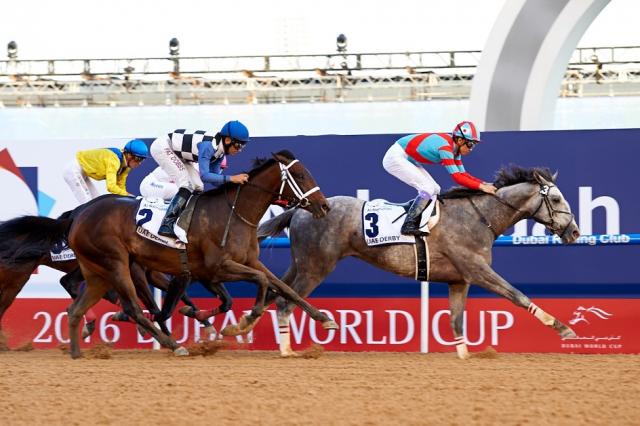 Lani wins the UAE Derby on Dubai World Cup day at Meydan last March to earn himself a trip to last year’s Kentucky Derby. Photo: emiratesracing.com