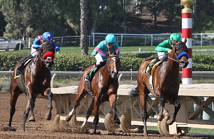 Thrilling matchup: Iliad (left) eventually takes second behind Mastery (leading) in the San Felipe, but well ahead of Gormley (centre). Photo: Emily Shields