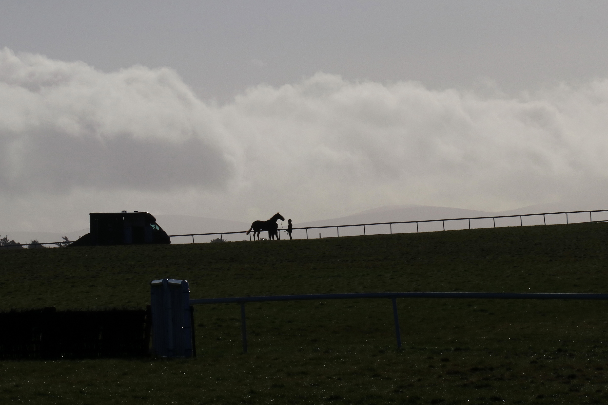 A lone horse gets ready for morning gallop at The Curragh training grounds. Photo: David Betts