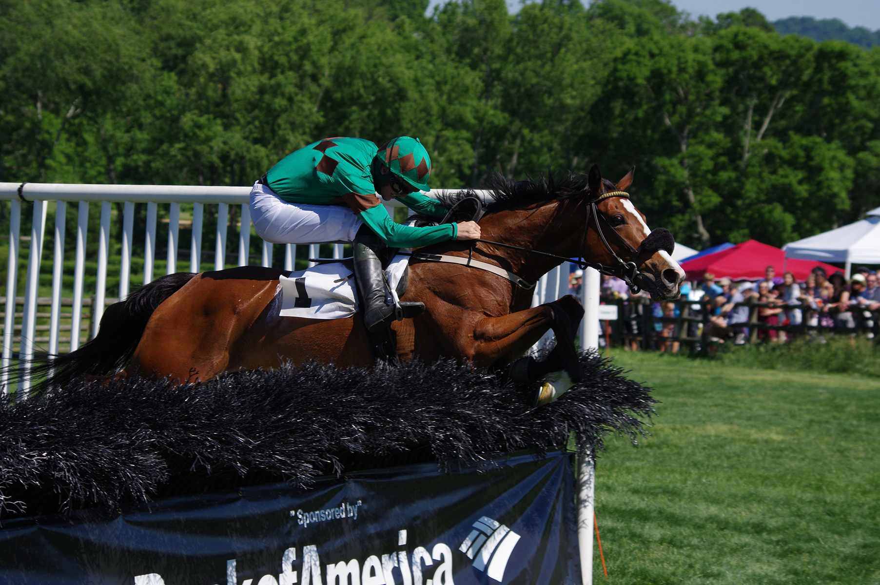 Sarah Joyce and Jack Doyle jump the last in the Margaret Currey Henley Hurdle on Iroquois Steeplechase day in Nashville, Tennessee. Photo: Meghan Janusz