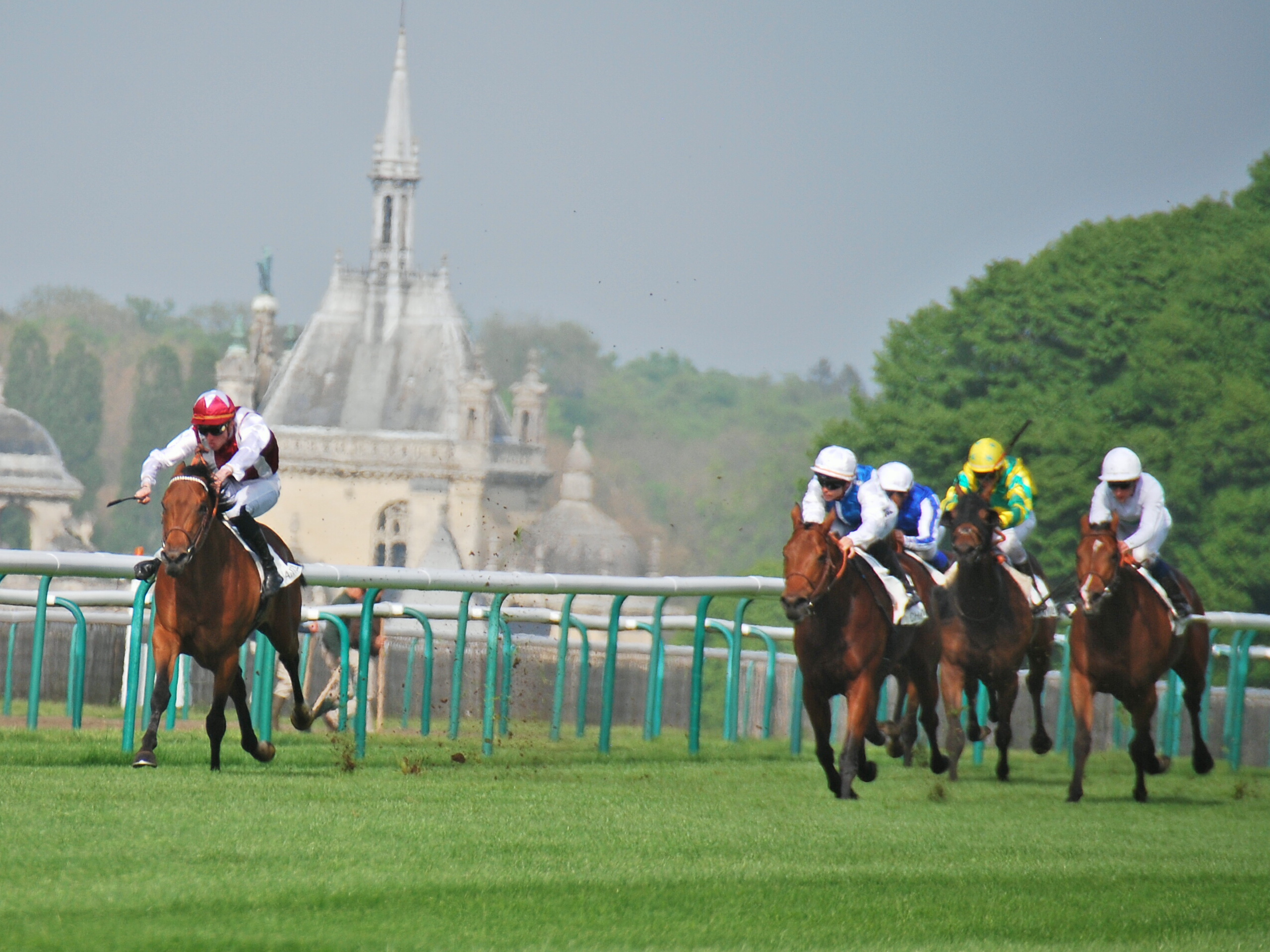 Contender: Phelps Win taking the Prix de Guiche at Chantilly from Plumatic (second left). Photo: John Gilmore