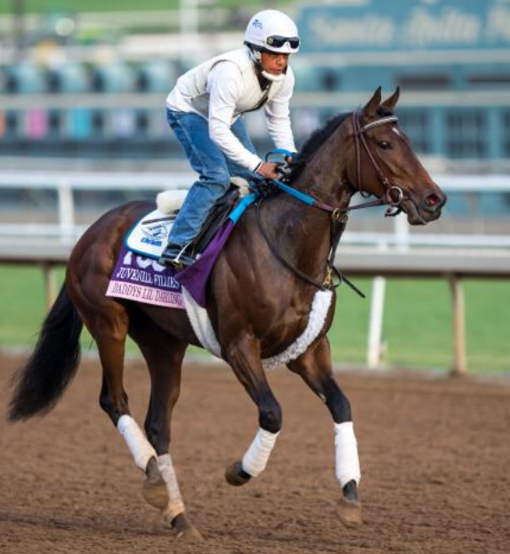 Trackwork: Daddys Lil Darling working at Santa Anita, where she finished fourth in the Breeders’ Cup Juvenile Fillies last November