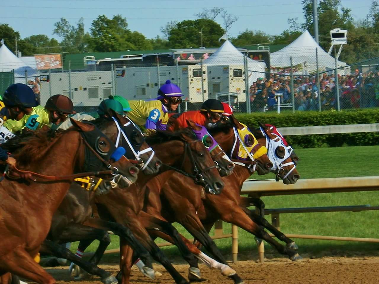 The horses breaking from the gate in the 140th Kentucky Derby. Photo: Christine Sanchez