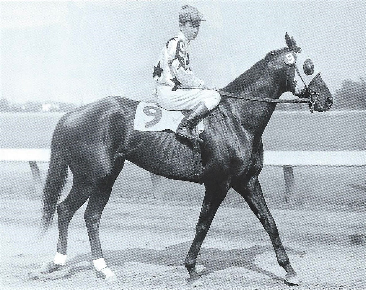 Contender: Brownie, who had been beaten by Bossuet in a previous race, was a 10/1 shot. Photo: Garden State Park