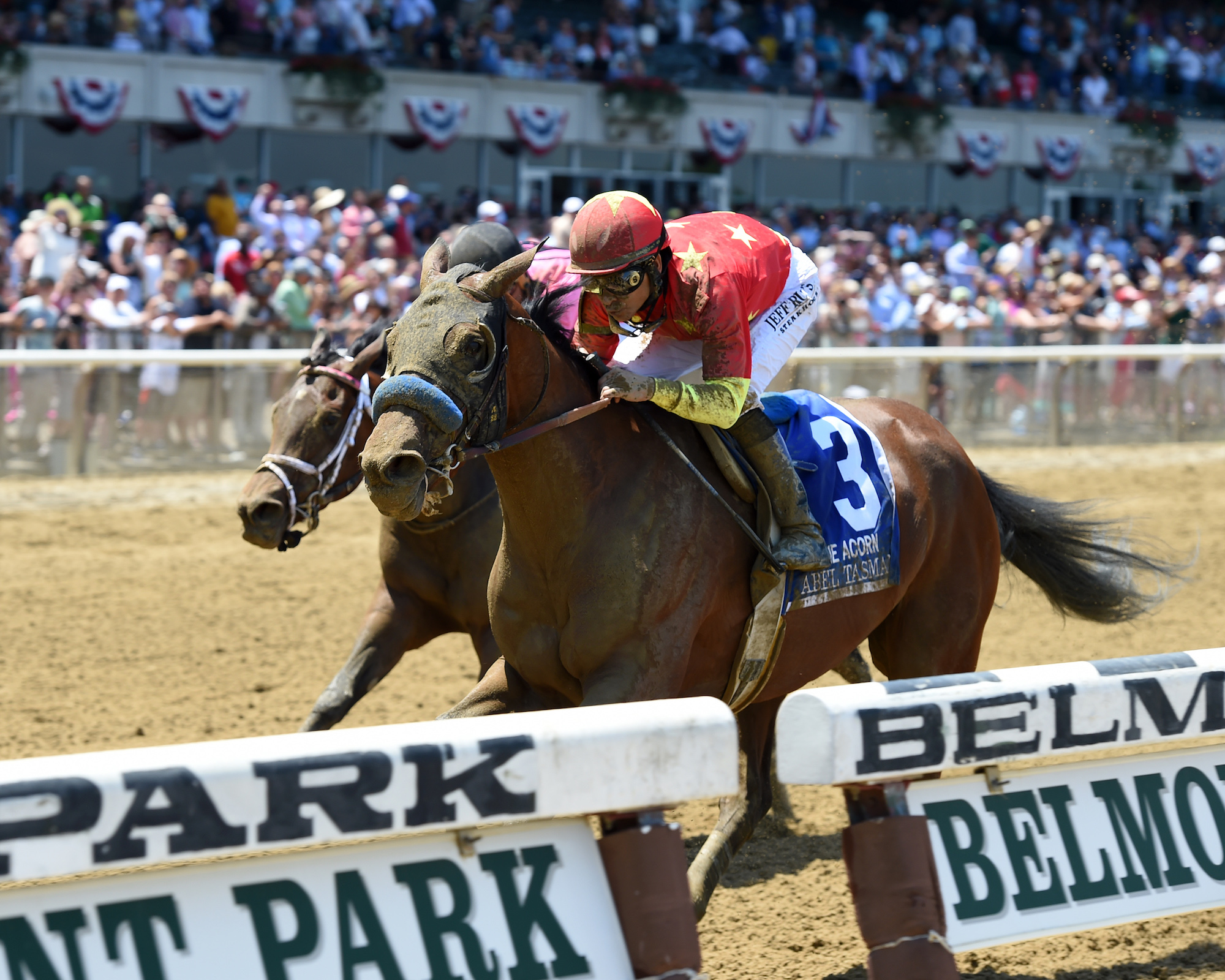 Abel Tasman winning the Acorn Stakes at Belmont Park in June. The filly failed to reach her reserve when Clearsky sent her to the sales, so it was stroke of luck that they kept her. Photo: Joe Labozzetta/NYRA.com