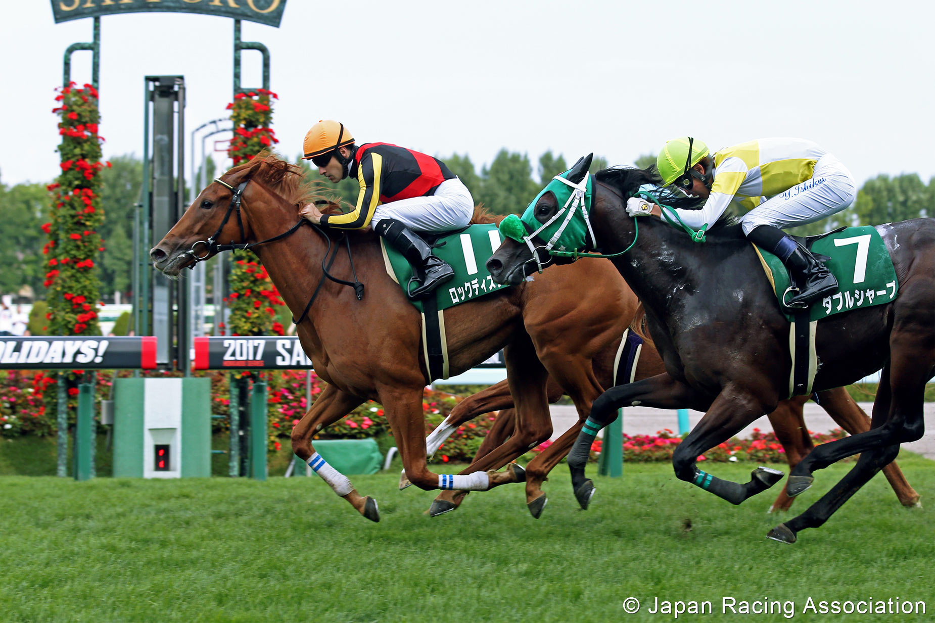Just the beginning? Orfevre’s daughter Rock This Town (Christophe Lemaire) wins a G3 at Sapporo last month. Photo: Japan Racing Association