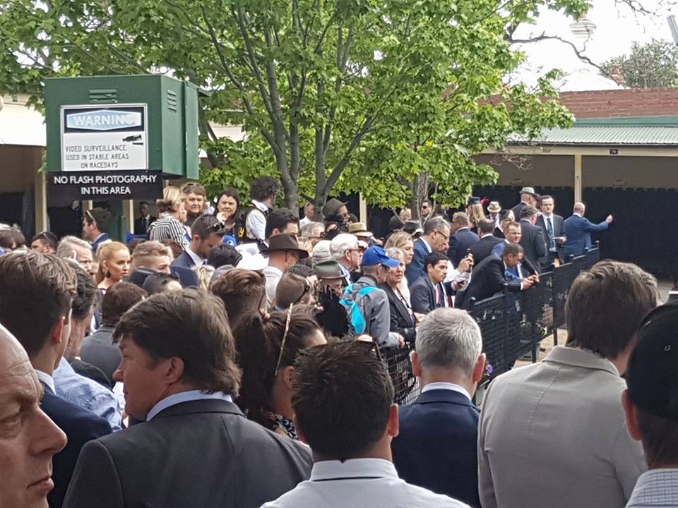 Expectant crowd: fans started gathering to get a glimpse of Winx long before she arrived at Moonee Valley. Photo: Kristen Manning