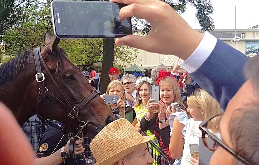 Adoring public: racegoers crowd in to take photos of Australia’s darling after the race. Photo: Kristen Manning