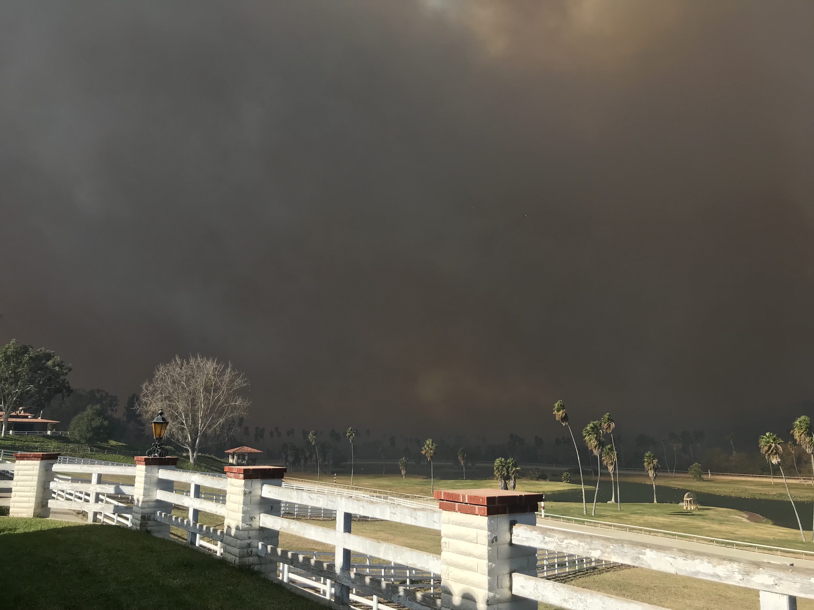 Doom-laden skies: the view from the Trifecta Equine Athletic Center, where about 70 horses were taken in from nearby San Luis Rey Downs