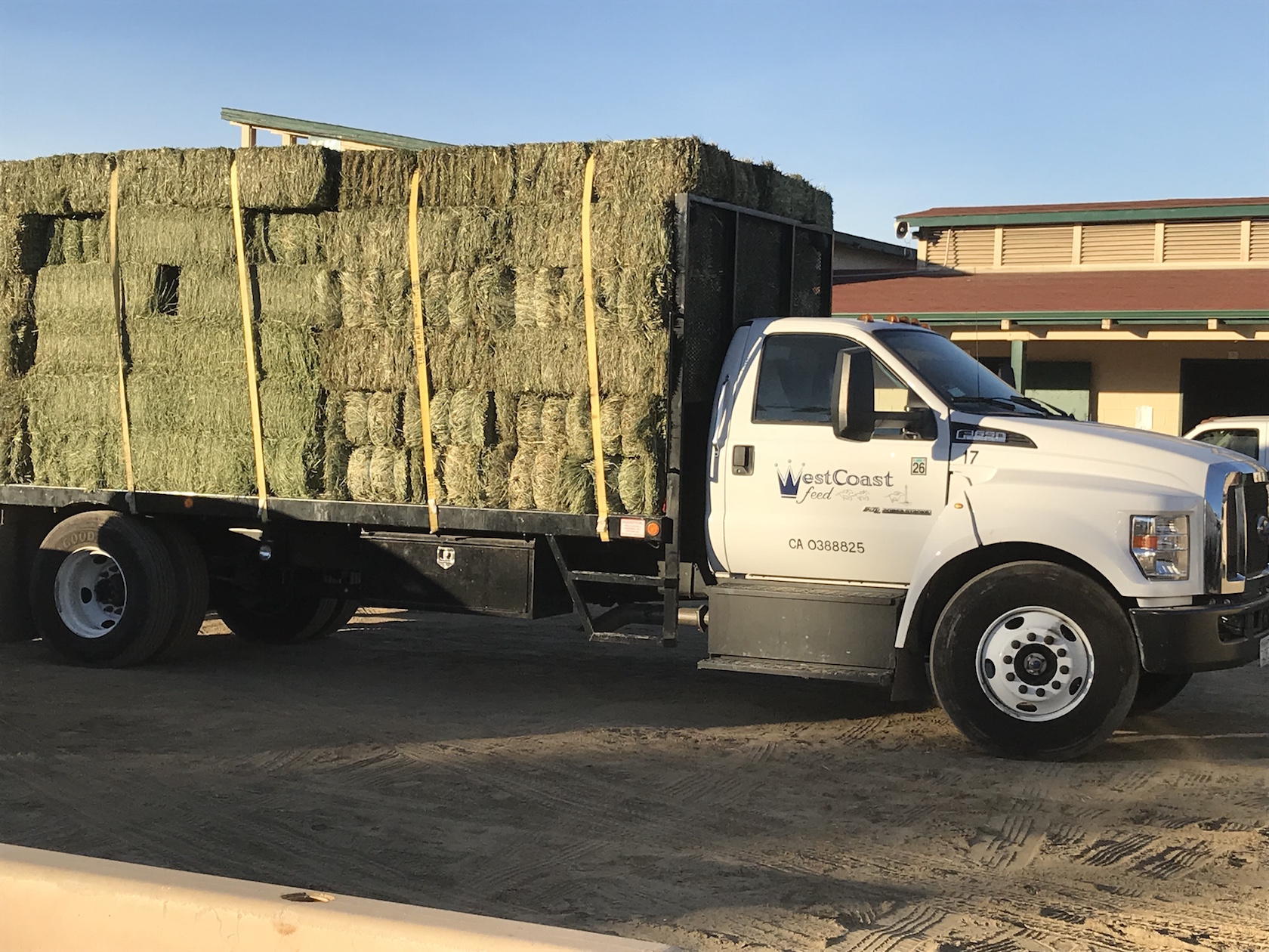 Truck-loads of hay from local feed companies were among the desperately needed supplies vanned in to Del Mar. Photo: Zoe Cadman