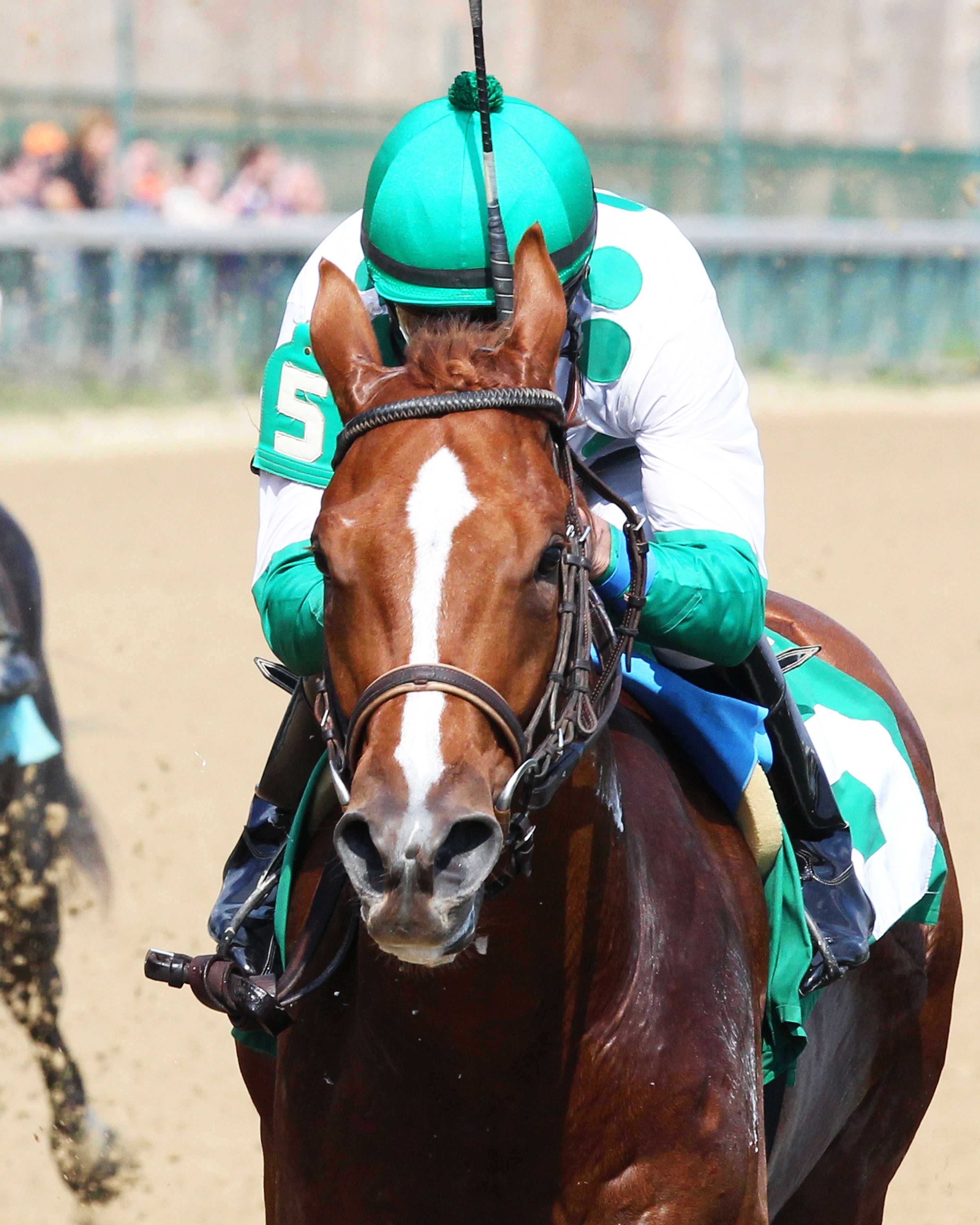 Off the mark: Promises Fulfilled winning on his debut at Churchill Downs. Photo: Jeff Coady/Churchill Downs