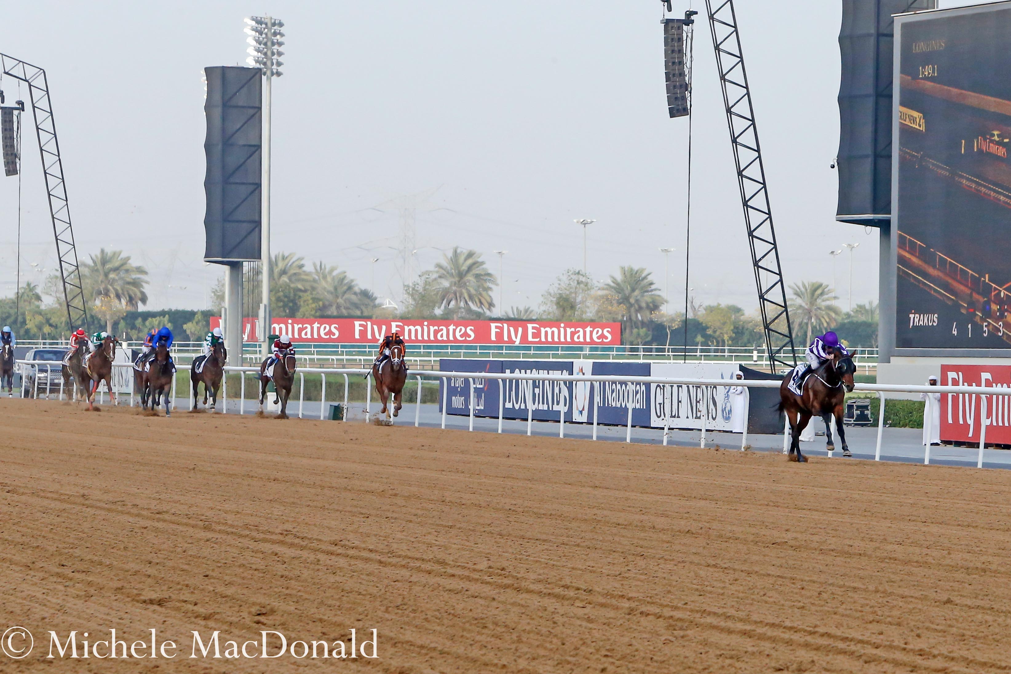 In a league of his own: Mendelssohn draws just further and further clearn down the stretch in the UAE Derby. Photo: Michele MacDonald