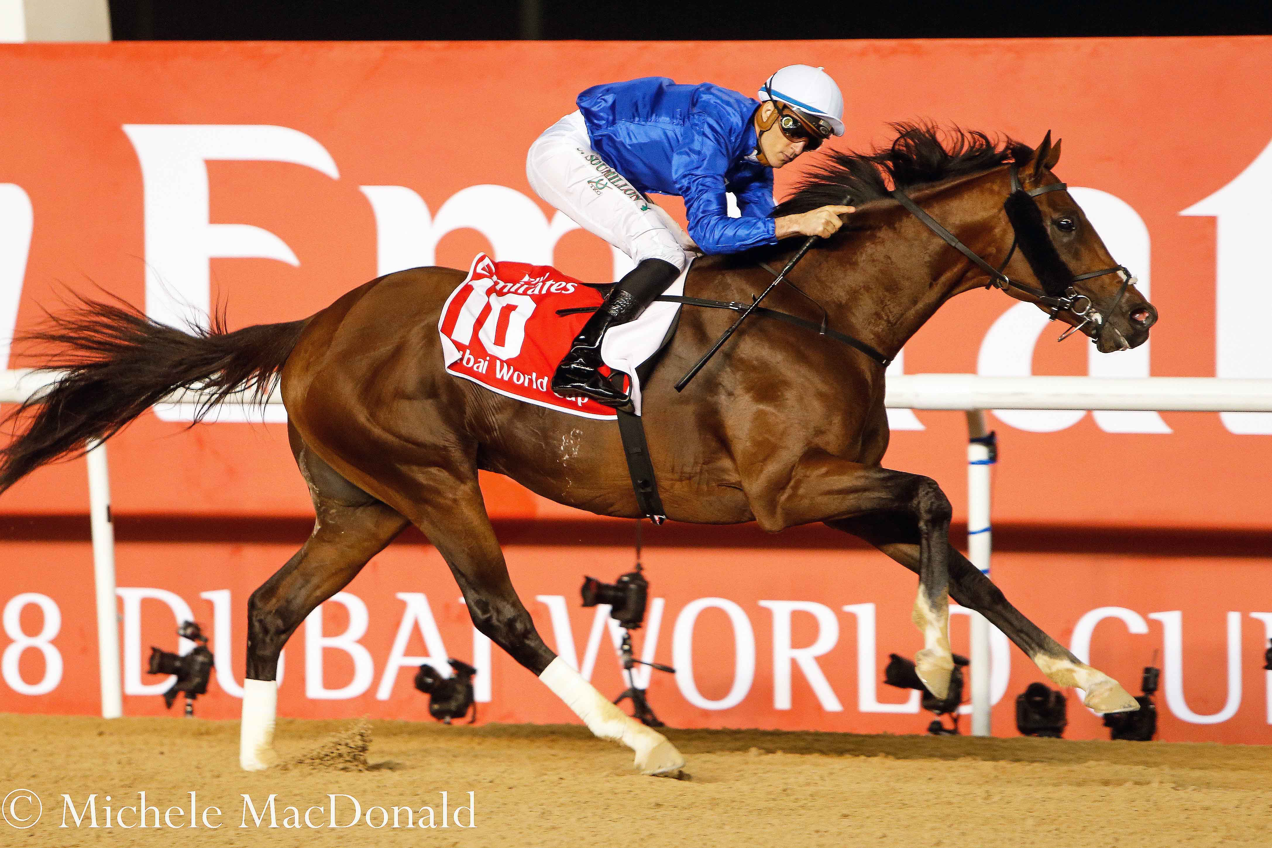 Thunder Snow comes home unchallenged in the Dubai World Cup on the Meydan dirt. He has already won two G1s on turf (including one on very soft ground). Photo: Michele MacDonald