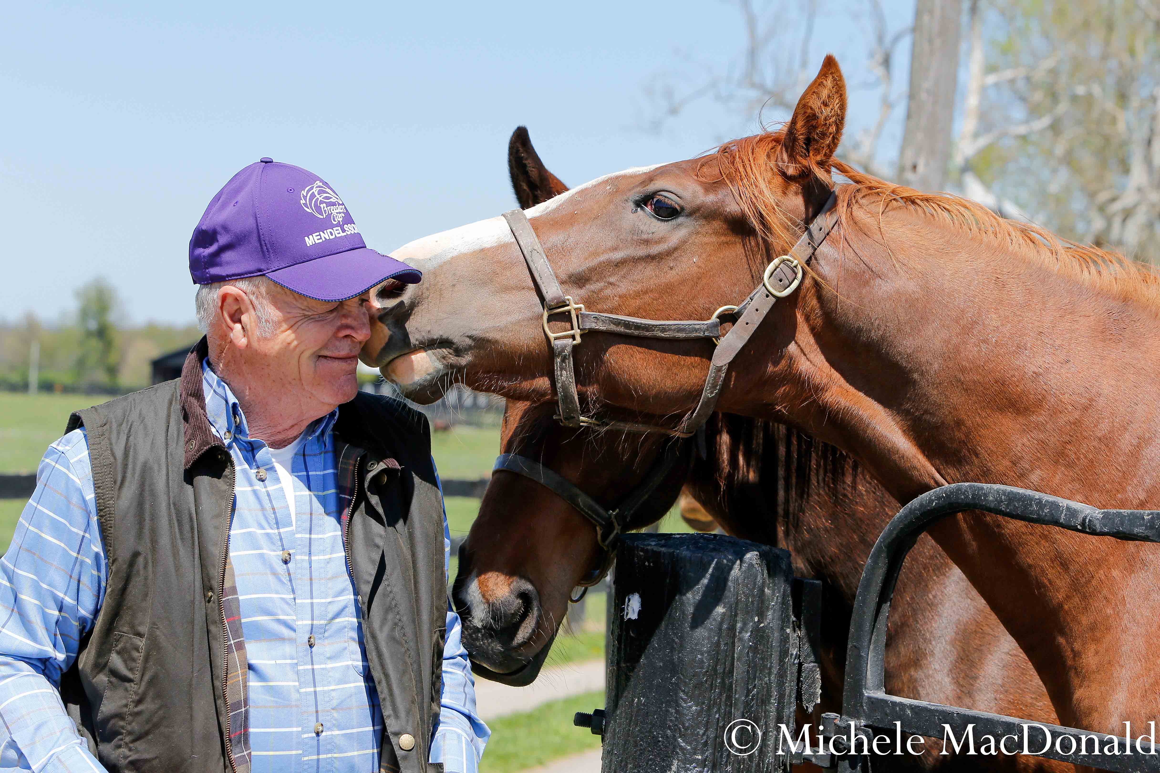 Clarkland co-owner Fred Mitchell with some of the 2-year-old fillies at the farm. Photo: Michele MacDonald