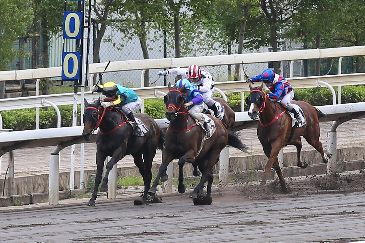 Zac Purton matches Moreira’s four-timer with this victory on the Sha Tin dirt on Patch Baby (purple) in the second-last race on yesterday’s card. Photo: Hong Kong Jockey Club