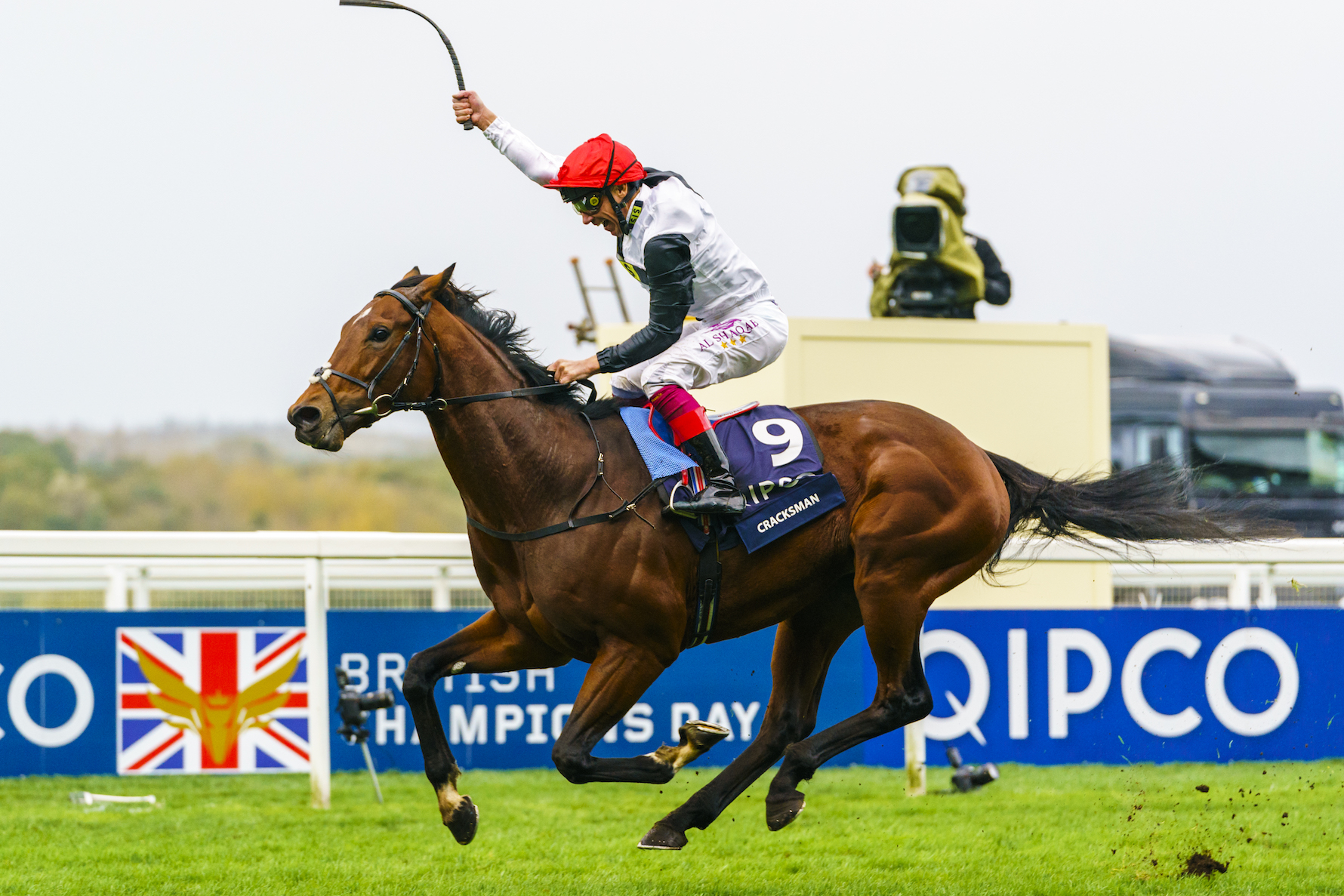 Remarkable spectacle: Cracksman produced the highest-rated performance in Europe last season in the Qipco Champion Stakes