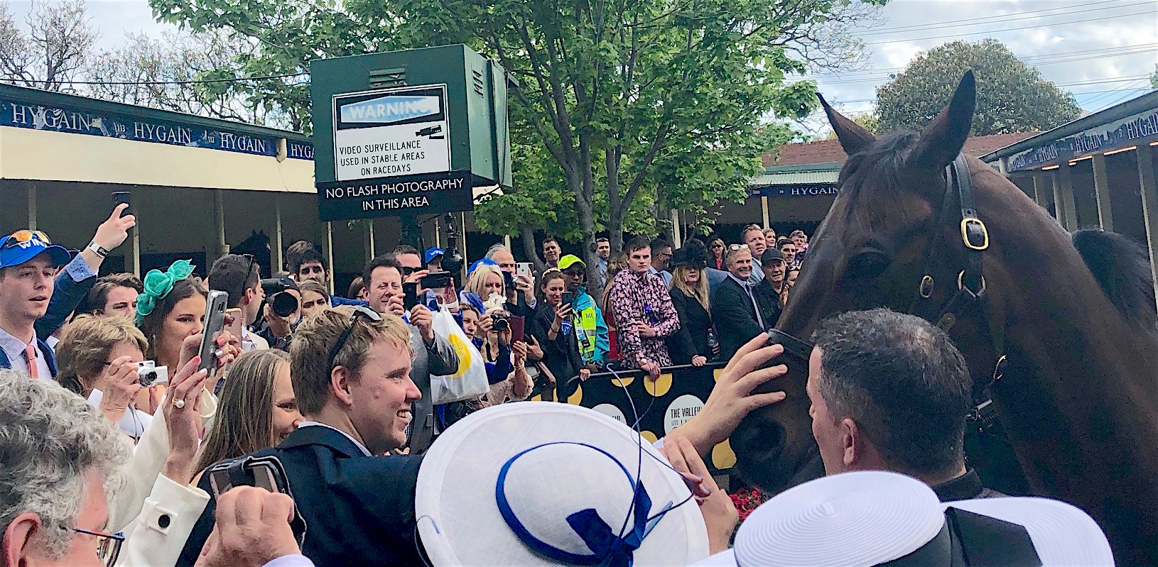 Something to tell your grandchildren about: they will remember forever the moment they got up close and personal with the icon that is Winx. Photo: Amanda Duckworth