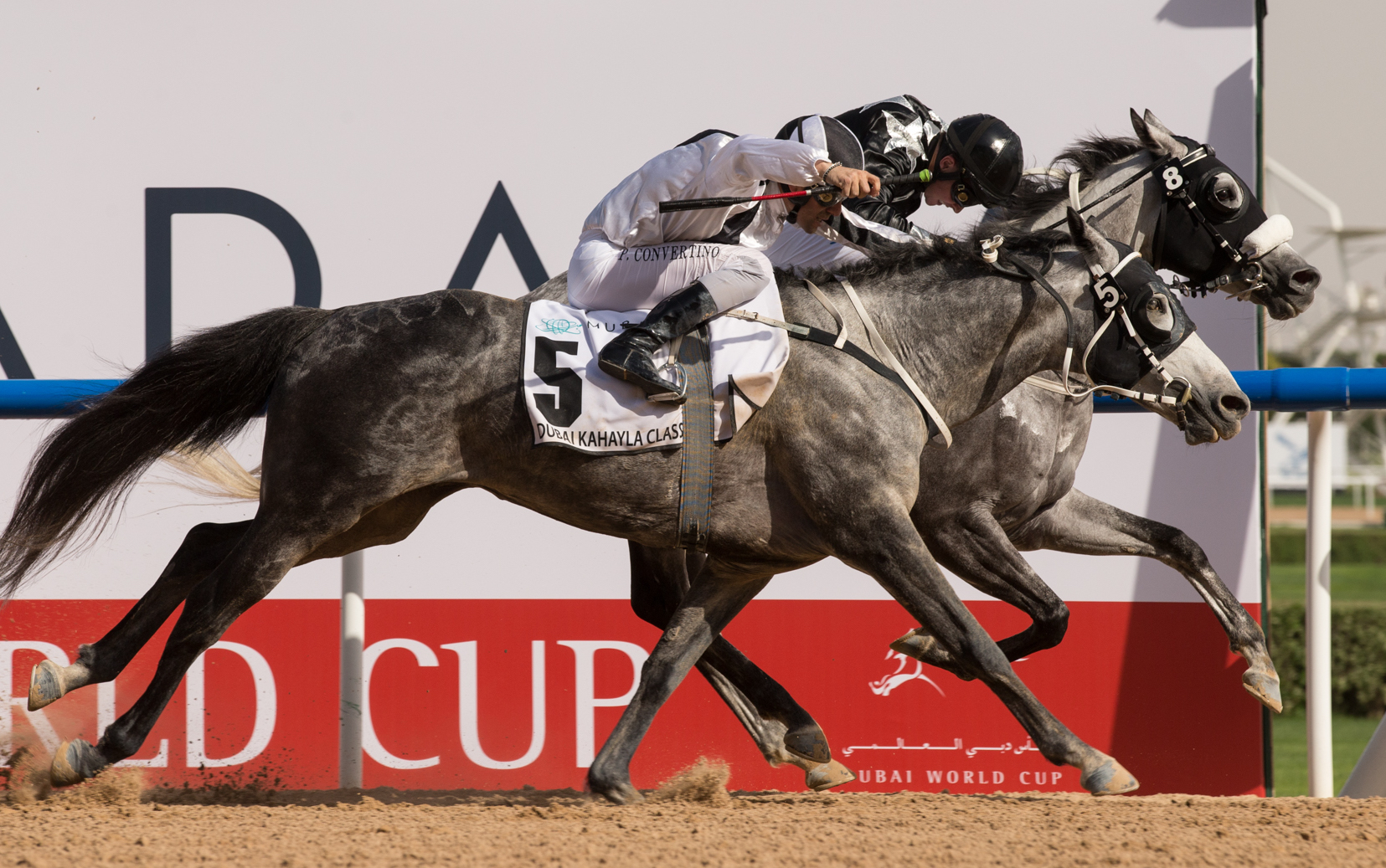 AF Maher (Tadhg O’Shea, far side) holds off Fazza Al Khaledia to win the Dubai Kahayla Classic by a nose in one of the most exciting finishes of Dubai World Cup day. Photo: Erika Rasmussen/Dubai Racing Club
