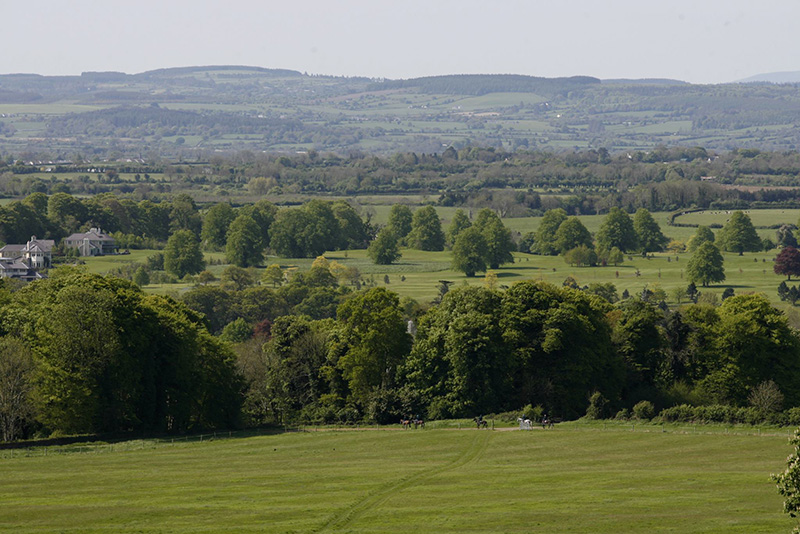 Ballylinch Stud is in County Kilkenny, within the Mount Juliet estate.“The Malones [the owners] have great appreciation for lands and the countryside, and for honouring the heritage of properties,” says managing director John O’Connor. Photo: Horses of Legend