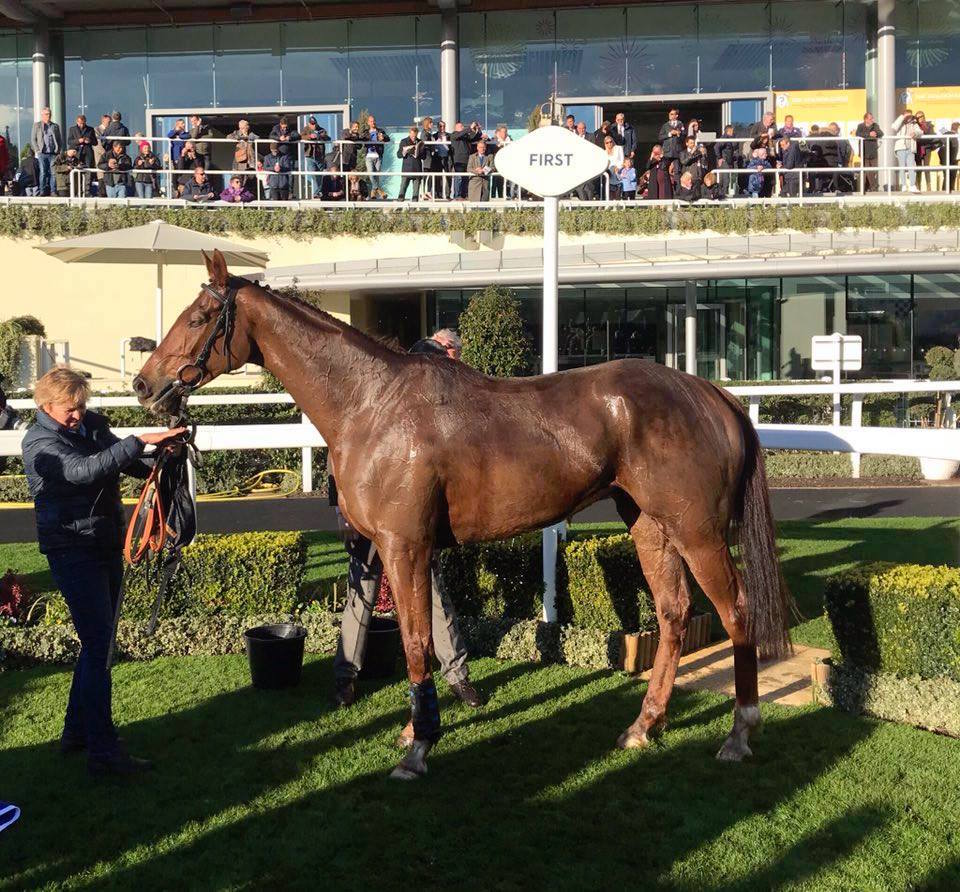 Ascot success: Vosne Romanee in the winner’s circle after a big win there last November