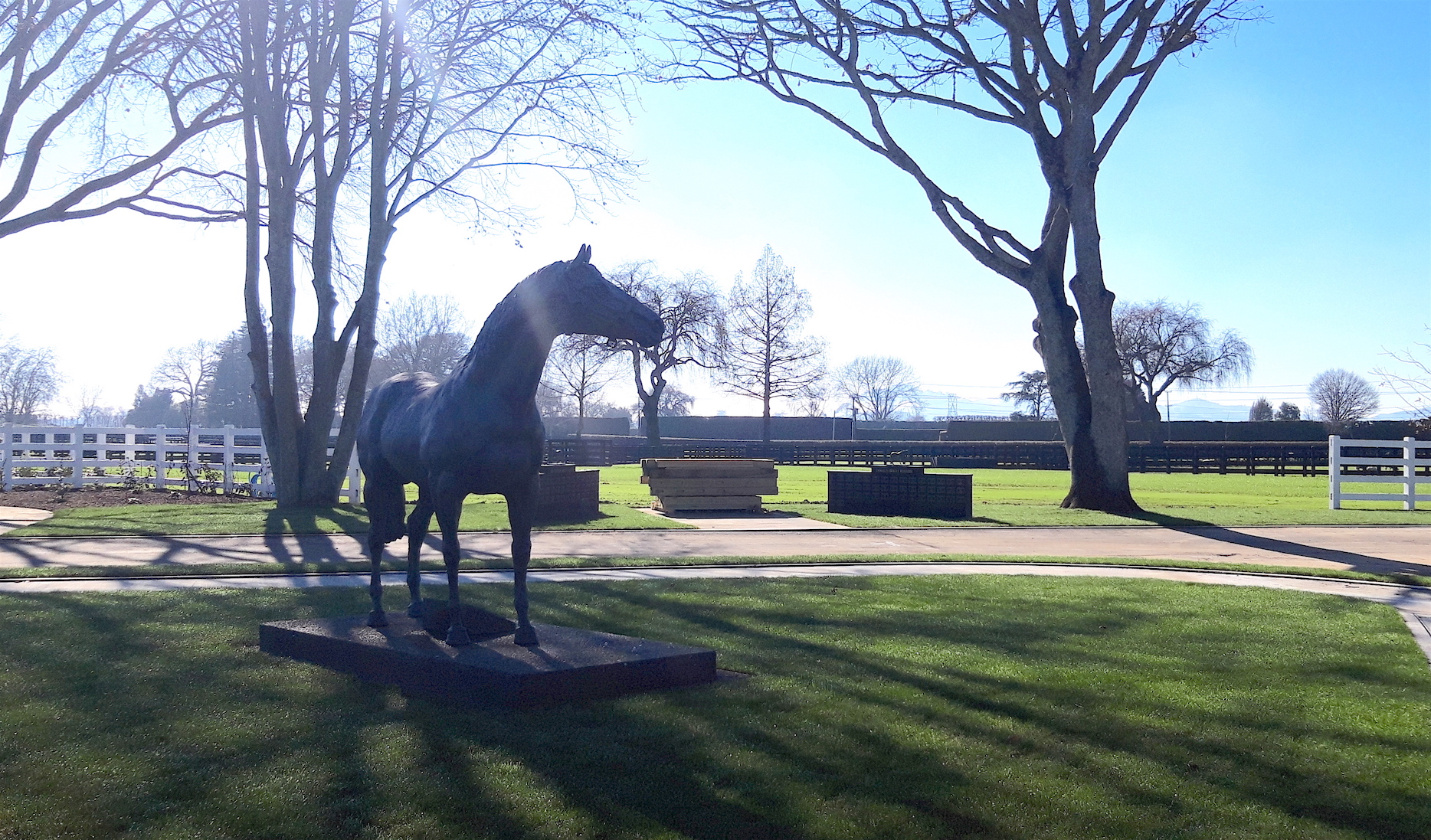 The impressive statue of Sir Tristram that presides over the main yard at Cambridge Stud. Both he and his outstanding stallion son Zabeel are buried on site 