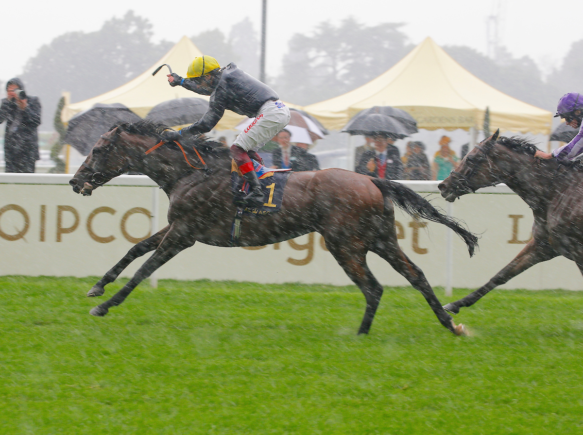 New jumps stallion Crystal Ocean, who visitors will be able to see at Coolmore’s Castlehyde Stud, is seen getting the better of Magical in the G1 Prince of Wales’s Stakes at Royal Ascot last June. Photo: focusonracing.com