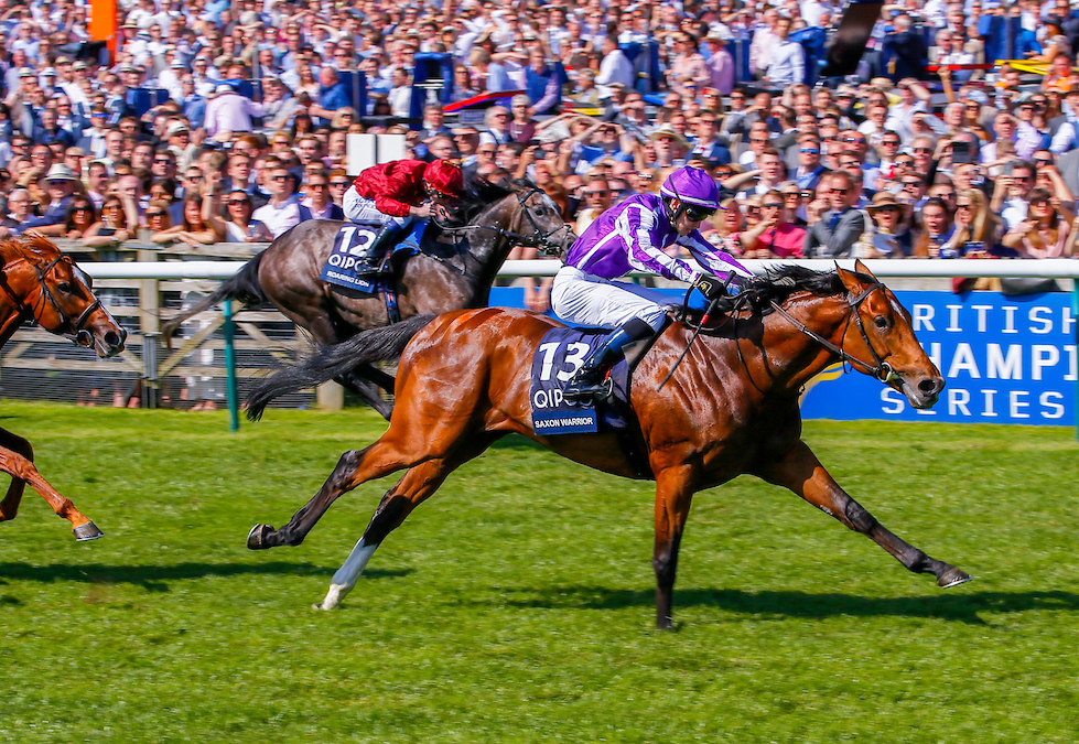 Saxon Warrior, pictured winning the 2000 Guineas at Newmarket in 2018, is sure to be a big attraction at Coolmore Stud. Photo: Mark Cranham/focusonracing.com