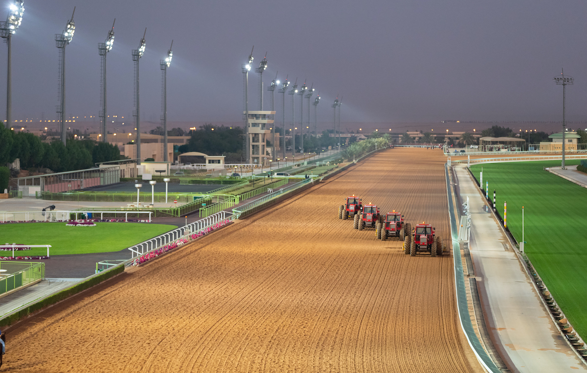 Preparing the King Abdulaziz track for racing: Sarah Tregoning hopes the venue will become instantly recognisable among international race fans. Photo: Jockey Club of Saudi Arabia