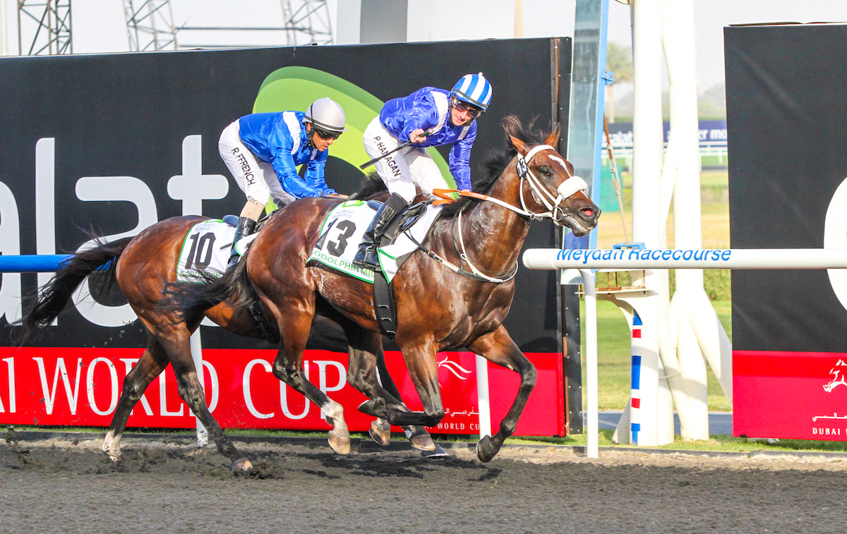 High-profile victories in Dubai used to be commonplace for South Africa – such as Soft Falling Rain’s Godolphin Mile success in 2013 for the mighty Mike de Kock. Photo: Liesl King