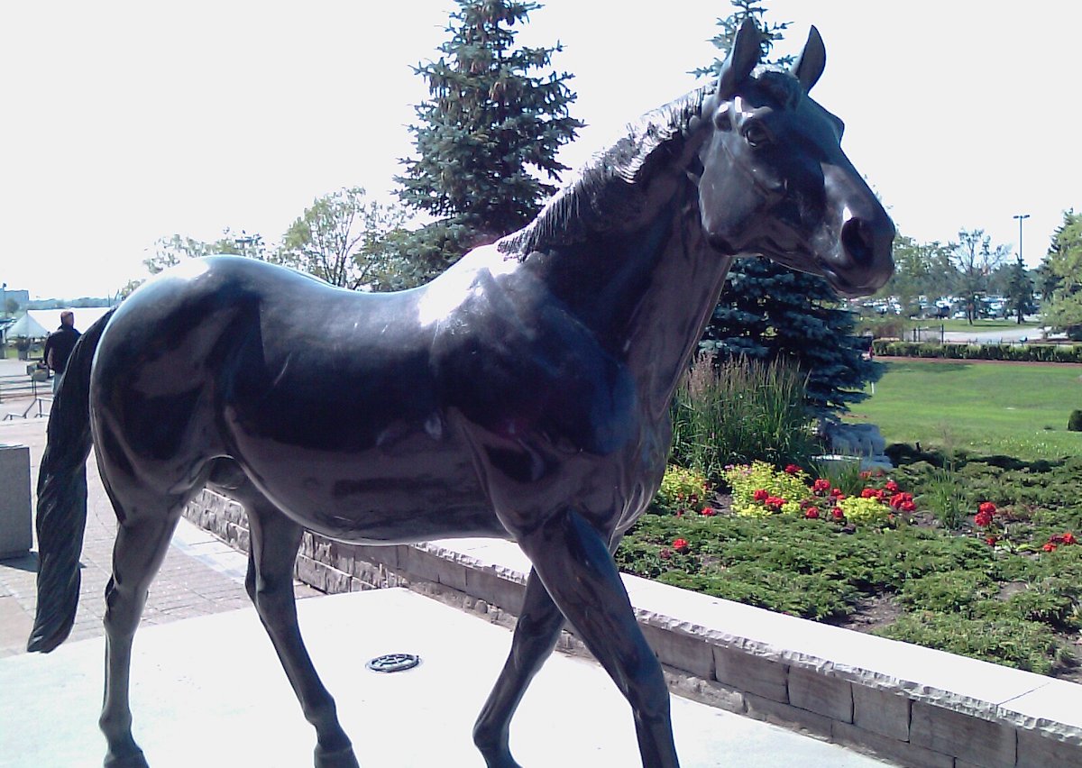 Master of all he surveys: life-sized statue of Nothern Dancer at Woodbine racetrack. Photo: JDG / Public Domain