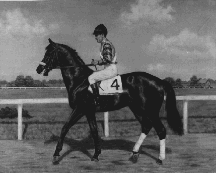 Black Gold at Fair Grounds Race Course, where he is buried on the infield. Photo: WikiCommons