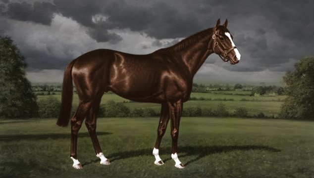 The real Shergar, as painted by Richard Stone Reeves