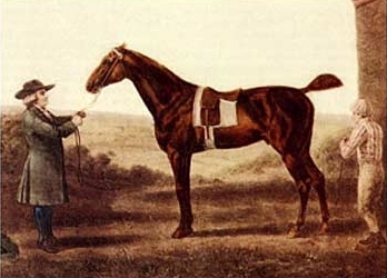 Diomed: the first Derby winner in 1780, in a famous Stubbs portrait