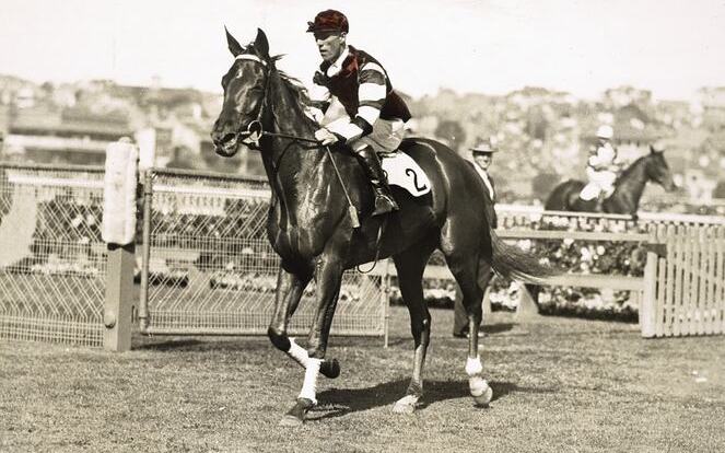 Australian legend: the great Phar Lap at the AJC Derby, which he won in 1929. Photo: Museums Victoria