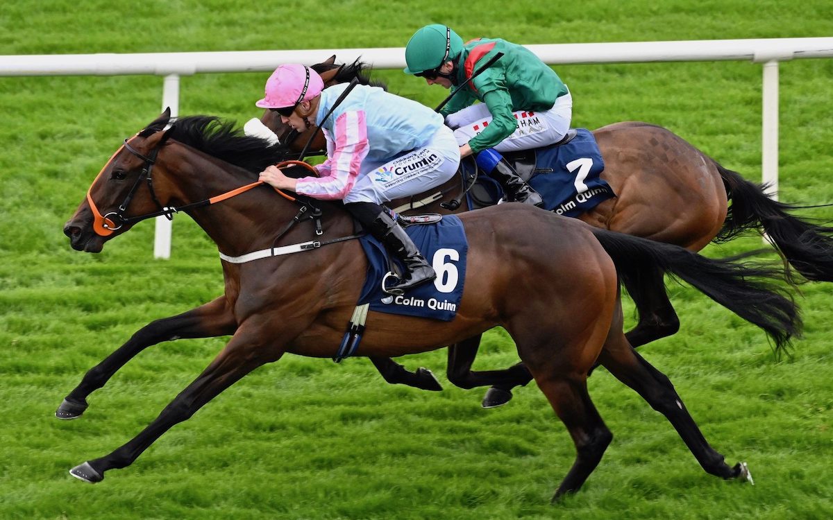 Classic contender: breeze-up purchase Purple Lily scores on debut at the Galway Festival after being bought at the 2023 breeze-up. Photo: coolmore.com