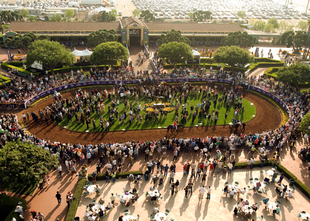 Paddock area at Santa Anita during Breeders' Cup. Photo: Benoit Photo.