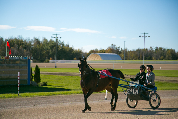 Premier Wynne rides in a sulky while on a visit at Mohawk Racetrack. Photo:  Queen's Printer for Ontario.