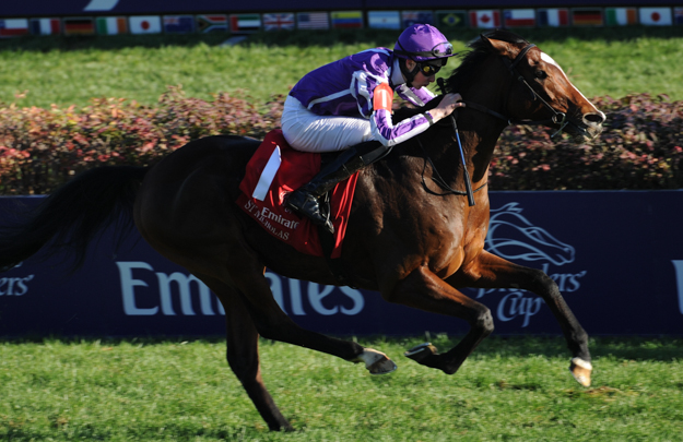 International raider St. Nicholas Abbey wins the 2011 Breeders' Cup Turf. Photo: Breeders' Cup/Todd Buchanan 2011