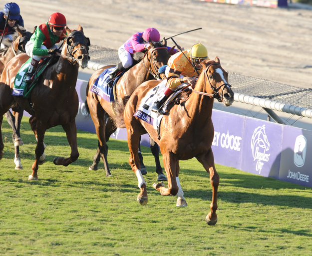 John Velazquez and Wise Dan winning the 2012 Breeders' Cup Mile. Photo: © Breeders' Cup/Gary Mook 2012.