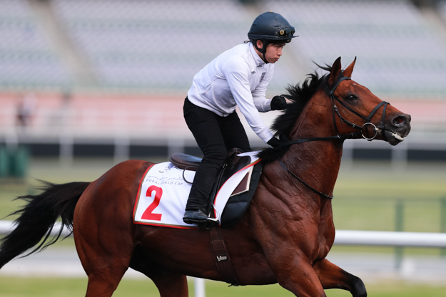 Akeed Mofeed on the track at Meydan. Photo: The Hong Kong Jockey Club.