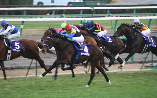 Deep Impact in the 2006 Arima Kinen. Photo: Wikimedia Commons.