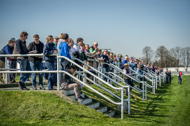 Crowd watches the breeze ups at the DBS Breeze Up sale. Photo: DBS