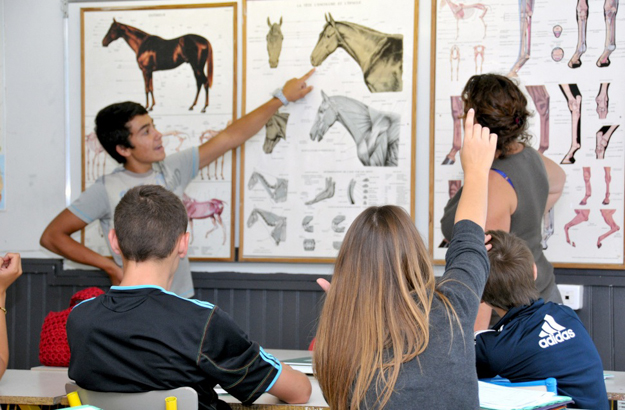 In addition to riding instruction, students at AFASEC also take classes on equine science. Photo via AFASEC