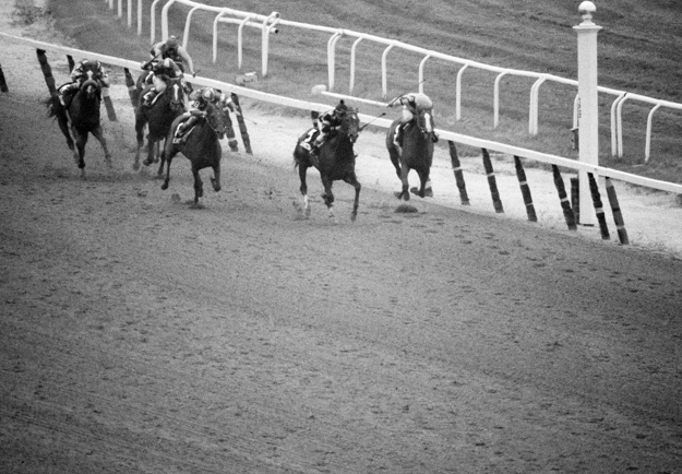 Coastal (inside, light cap) runs by Spectacular Bid to win the 1979 Belmont Stakes. Photo: AP Photo/David Pickoff.